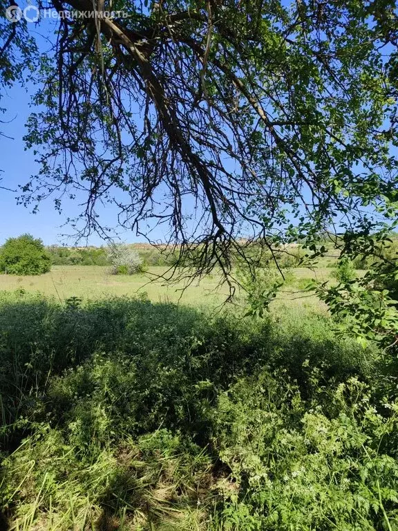 Участок в село Литвиненково, Советская улица, уч44 (18 м) - Фото 0