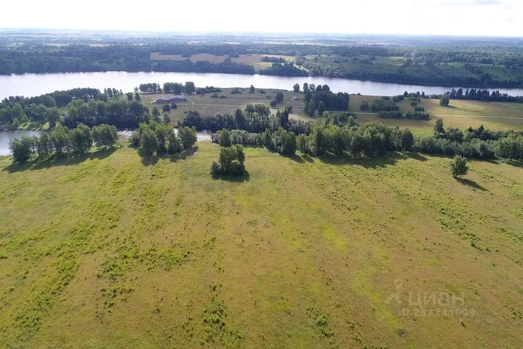 Участок в Тверская область, Зубцовский муниципальный округ, д. Борщево ... - Фото 2