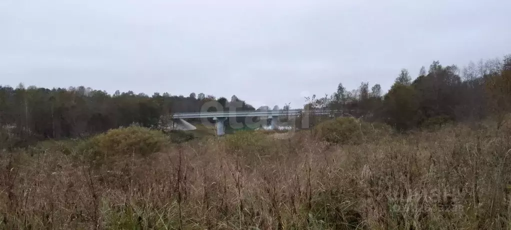 Участок в Псковская область, Порховский муниципальный округ, д. ... - Фото 1