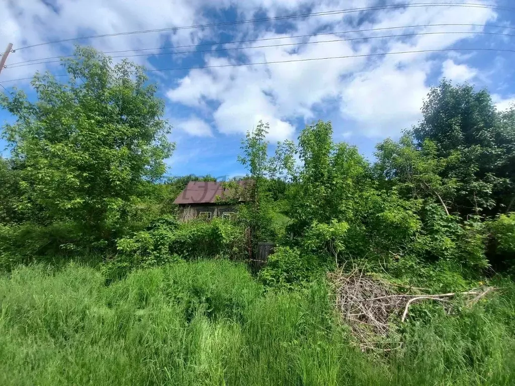 Участок в Алтайский край, Красногорский район, пос. Долина Свободы ул. ... - Фото 2