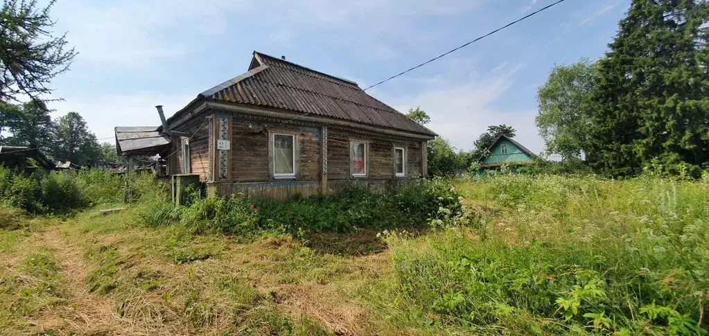Дом в Тверская область, Торопецкий муниципальный округ, д. Бор  (33 м) - Фото 1