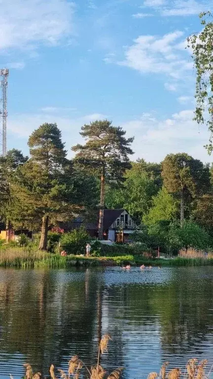 Участок в Ленинградская область, Тосненский район, Трубникоборское ... - Фото 2