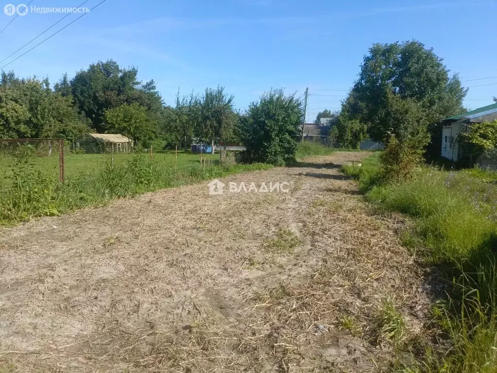 Участок в посёлок Шоссейное, Лесная улица, 9 (9.2 м) - Фото 2