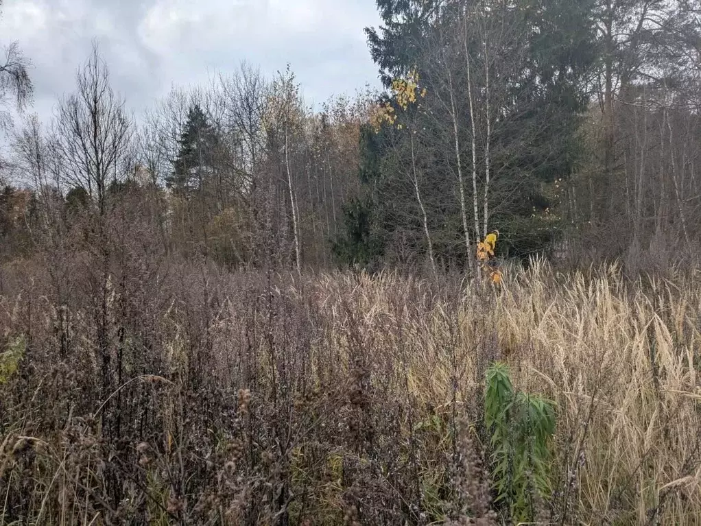 Участок в Московская область, Щелково городской округ, д. Орлово  ... - Фото 1