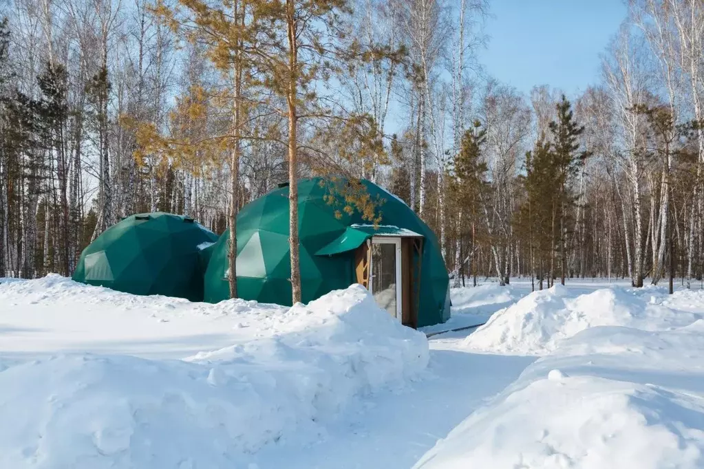 Дом в Новосибирская область, Новосибирский район, Кубовинский ... - Фото 1