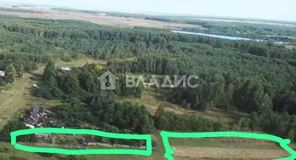 Участок в Владимирская область, Вязниковский район, Паустовское ... - Фото 0