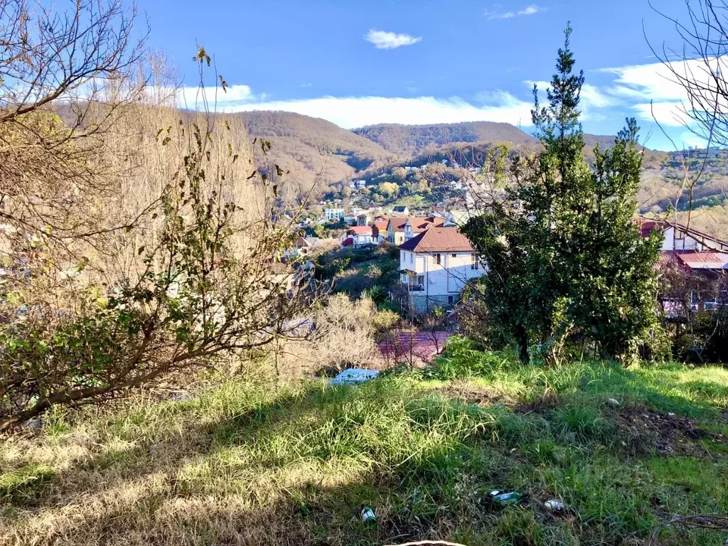 Участок в Краснодарский край, Сочи Лесной ЖСК, 31 (6.7 сот.) - Фото 1