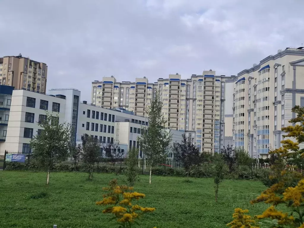 1-к кв. Московская область, Домодедово Южный мкр, ул. Курыжова, 7к3 ... - Фото 2