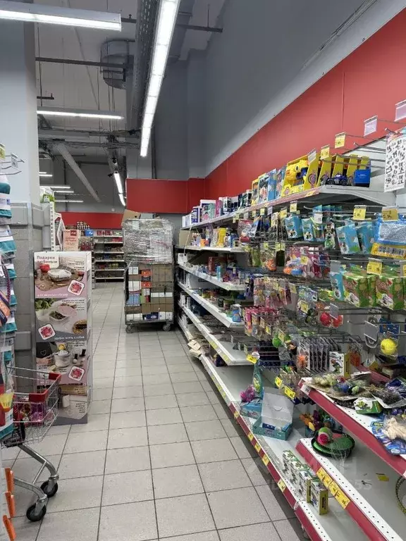 Торговая площадь в Нижегородская область, Нижний Новгород бул. ... - Фото 2