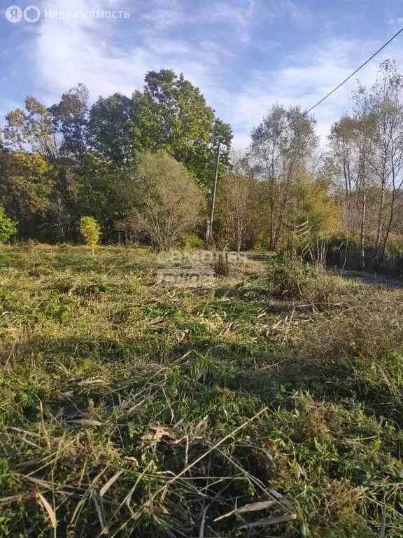 Участок в Надеждинский район, село Вольно-Надеждинское (6 м) - Фото 2