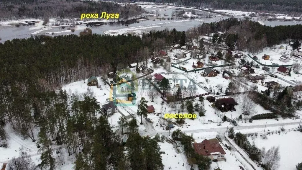 Участок в Ленинградская область, Лужский район, Толмачевское городское ... - Фото 2