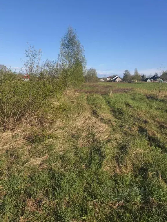 Участок в Новгородская область, Новгородский район, Ракомское с/пос, ... - Фото 1