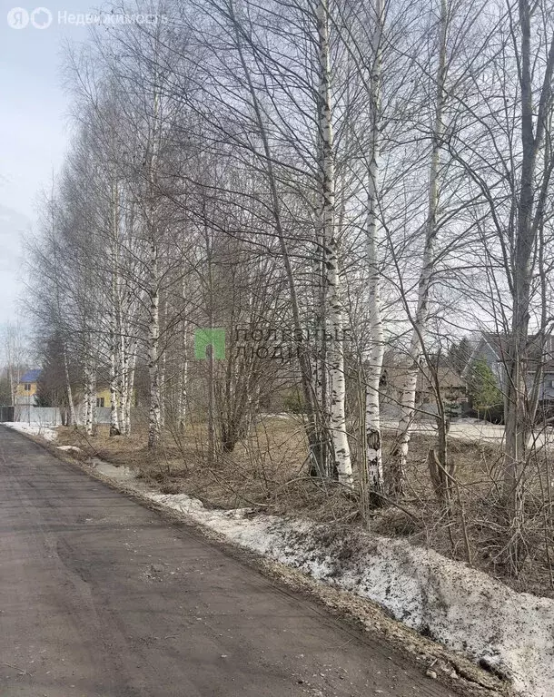 Участок в Завьяловский район, деревня Старое Михайловское, Ольховская ... - Фото 1