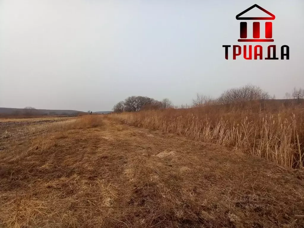 Участок в Приморский край, Уссурийский городской округ, с. Кроуновка  ... - Фото 1