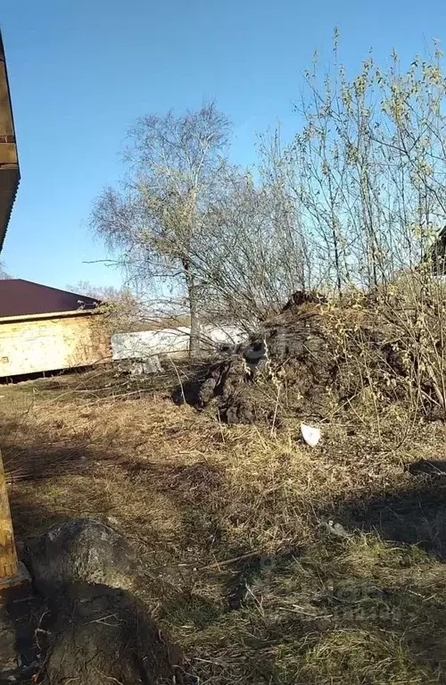 Участок в Тюменская область, Тюмень Царево садовое товарищество, 808 ... - Фото 0