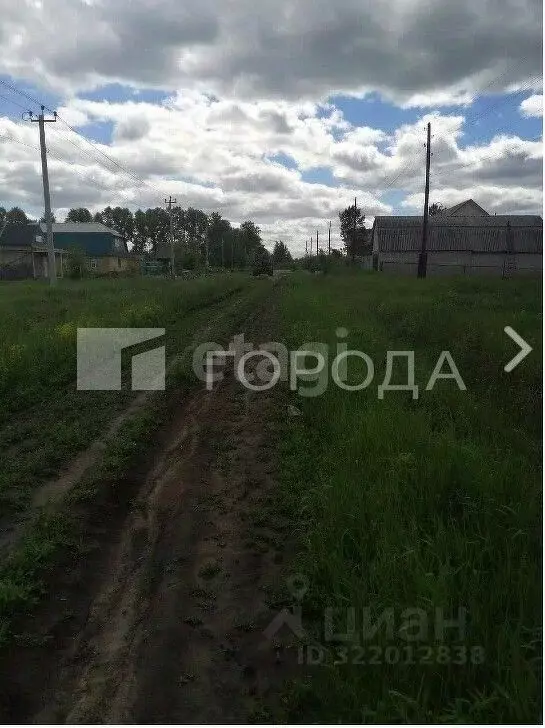 Участок в Алтайский край, Барнаул городской округ, пос. Бельмесево ул. ... - Фото 1