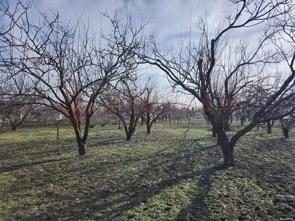 Участок в Ростовская область, Аксайский район, Мишкинская ст-ца ул. ... - Фото 1
