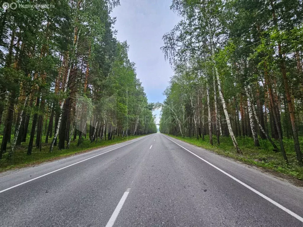 Участок в Тюмень, 3-й Новый переулок (7 м) - Фото 0