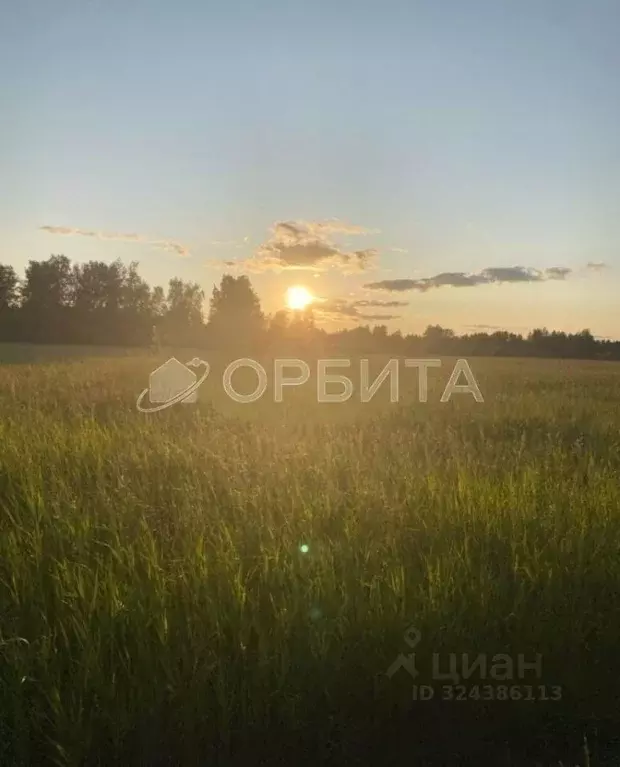 Участок в Тюменская область, Тюменский муниципальный округ, с. ... - Фото 1