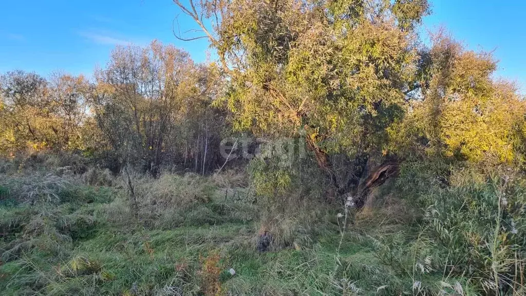 участок в амурская область, благовещенский район, с. владимировка . - Фото 1