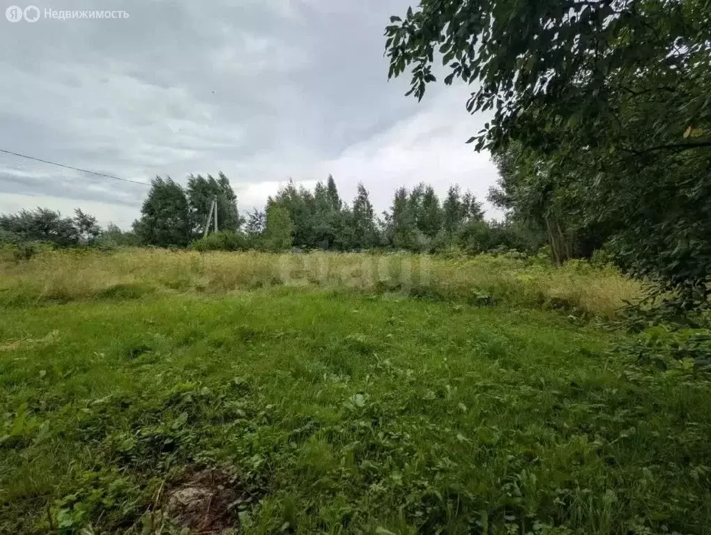 Участок в Московская область, городской округ Воскресенск, деревня ... - Фото 1