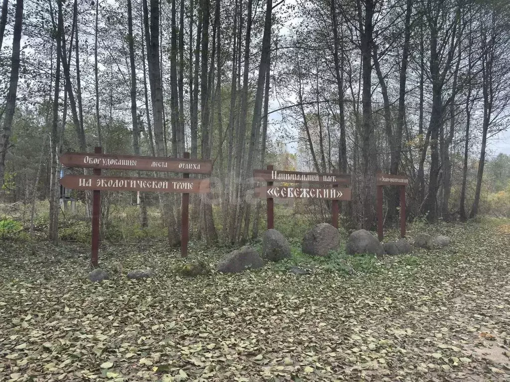 Участок в Псковская область, Себежское с/пос, д. Забелье  (24.0 сот.) - Фото 1