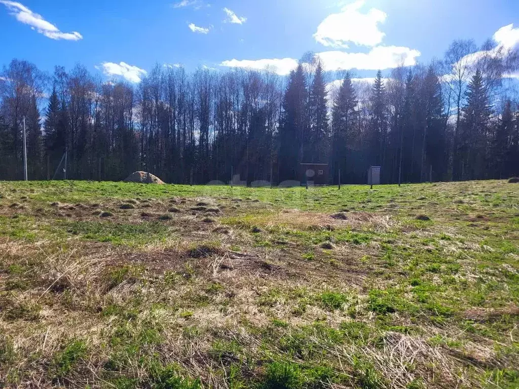 Участок в Коми, Сыктывдинский район, с. Выльгорт  (10.0 сот.) - Фото 2