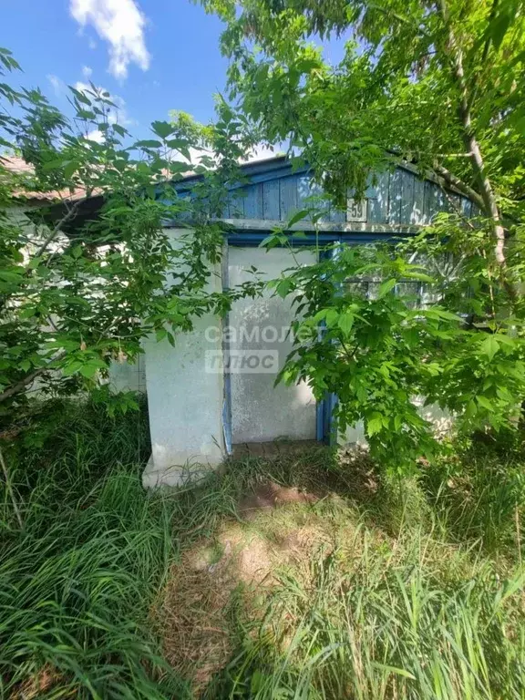 Дом в Воронежская область, с. Каширское ул. 9 Января, 59 (33 м) - Фото 0
