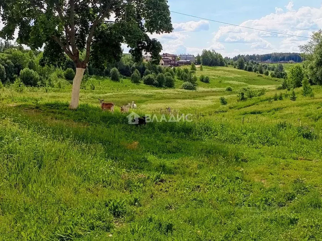 Дом в Владимирская область, Суздальский район, Боголюбовское ... - Фото 1