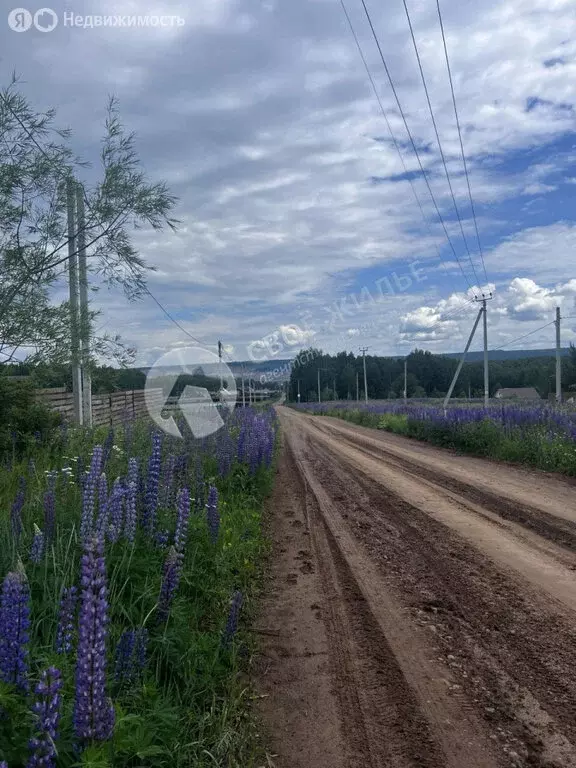 Участок в Пермский муниципальный округ, деревня Карасье, Луговая улица ... - Фото 0