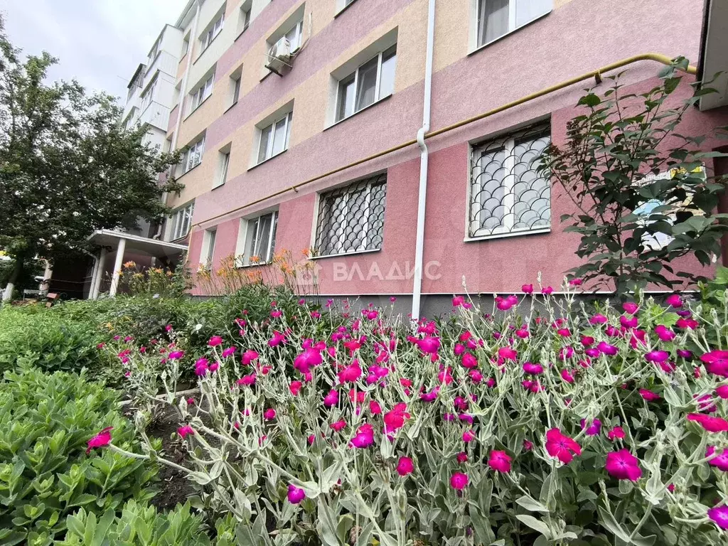 1-к. квартира, 28,8 м, 5/6 эт. - Фото 1