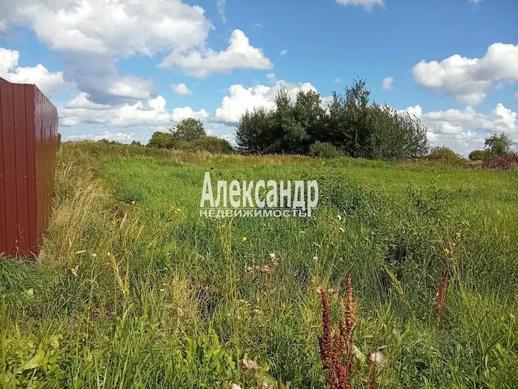 Участок в Ленинградская область, Кировское городское поселение, пос. ... - Фото 2