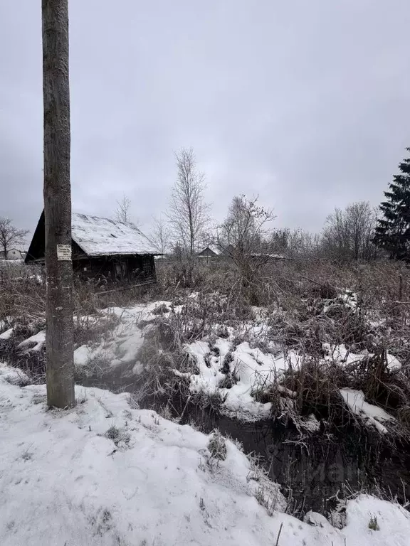 Участок в Новгородская область, Новгородский район, Ермолинское с/пос, ... - Фото 1