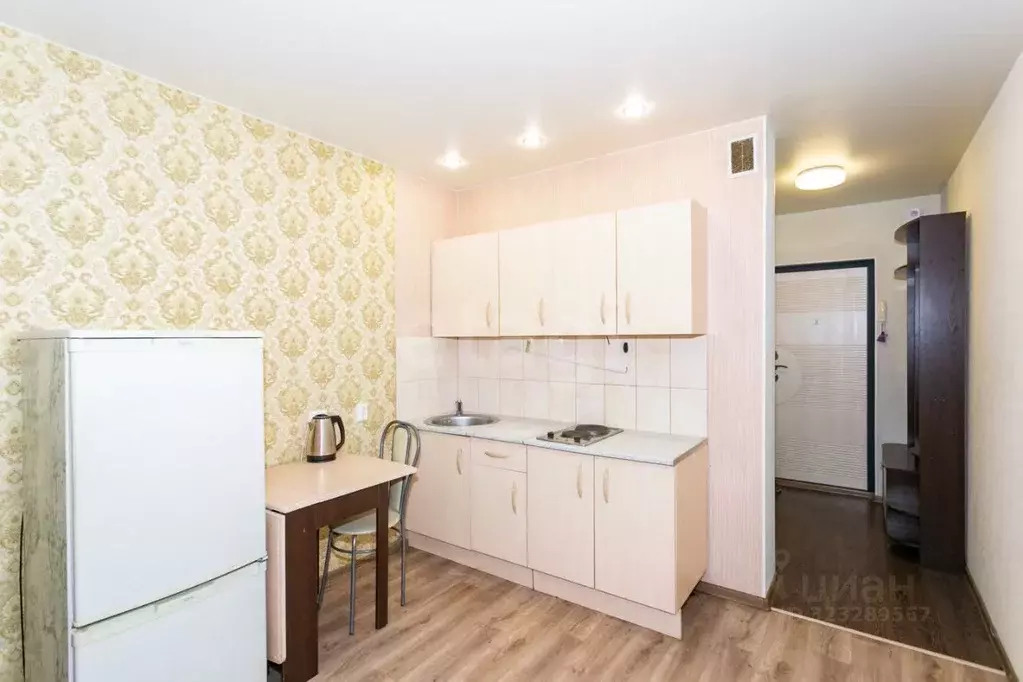 Студия Новосибирская область, Новосибирск ул. Забалуева, 90 (23.0 м) - Фото 1