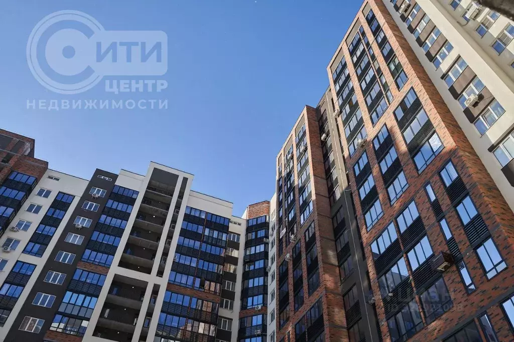 Студия Воронежская область, Воронеж Ростовская ул., 67 (25.0 м) - Фото 2