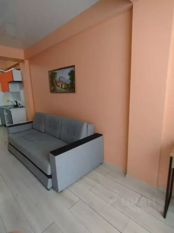 Студия Краснодарский край, Сочи Донская мкр, ул. Пасечная, 45Г/1 (28.0 ... - Фото 1