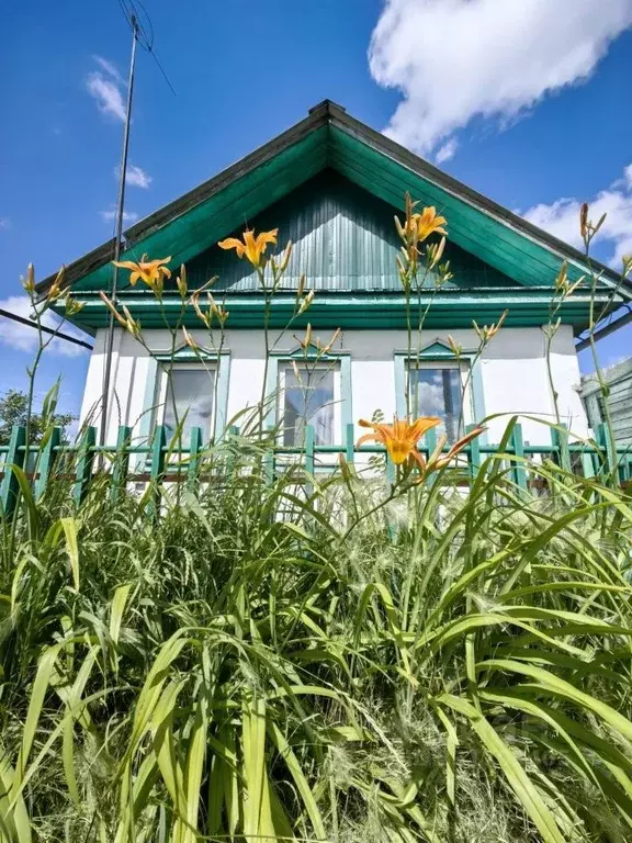 Дом в Омская область, Омск Пикетная ул., 13 (54 м) - Фото 1