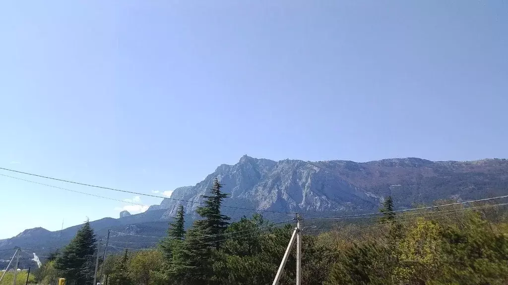 Участок в Крым, Ялта городской округ, Гаспра пгт ул. Горького (4.01 ... - Фото 1