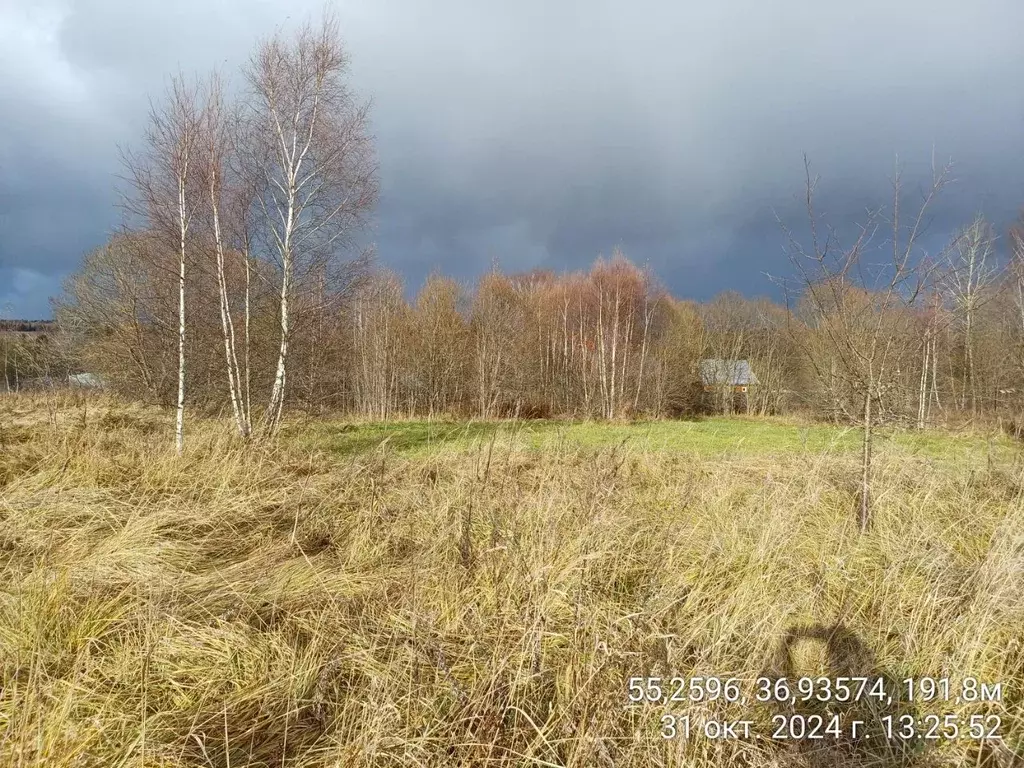 Участок в Московская область, Наро-Фоминский городской округ, д. ... - Фото 1