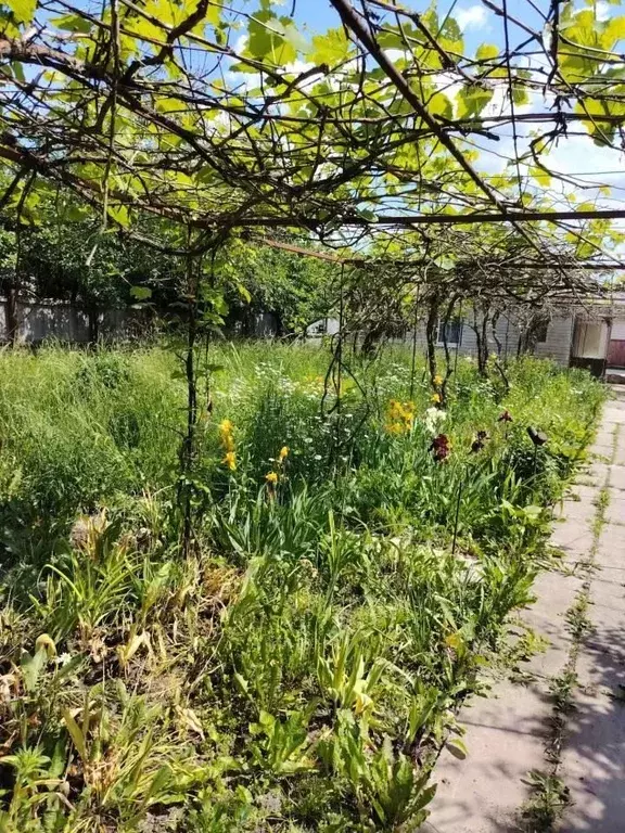 Дом в Курская область, Курчатовский район, Имени Карла Либкнехта рп  ... - Фото 2