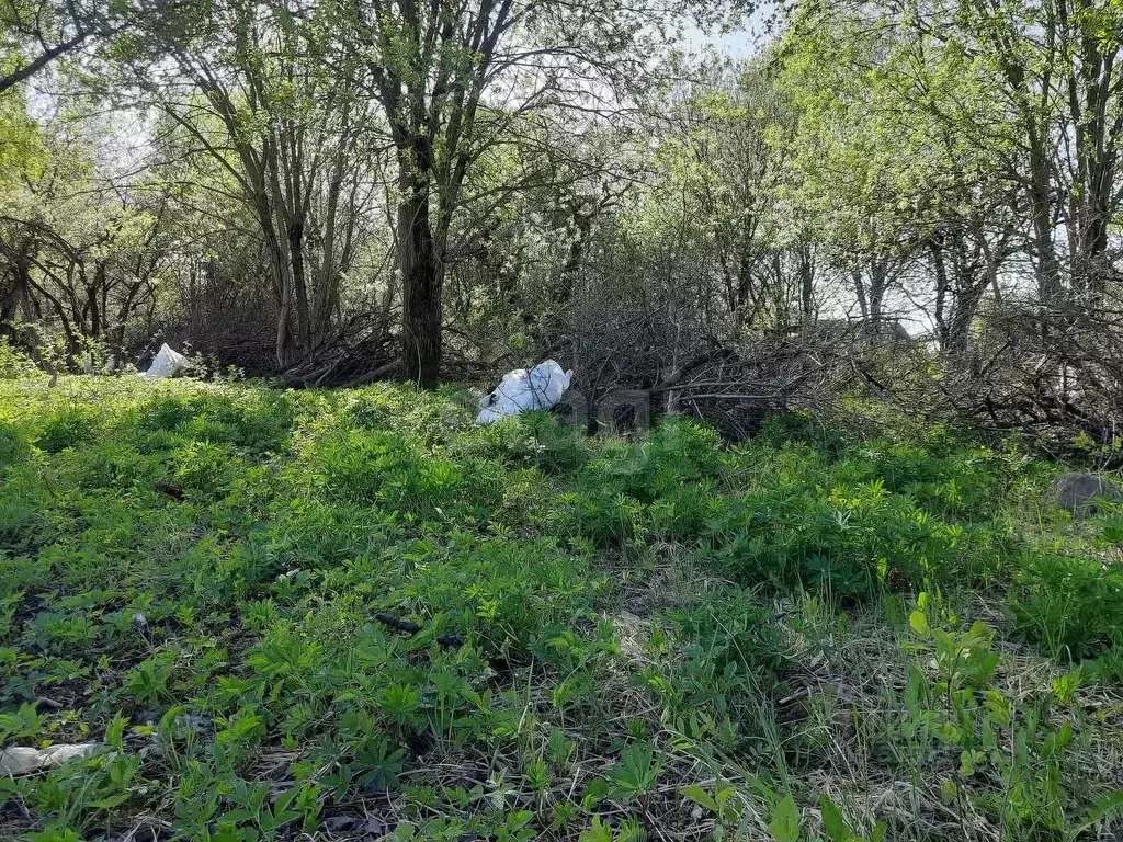 Участок в Смоленская область, Смоленск Березка СНТ, 3 (6.6 сот.) - Фото 2