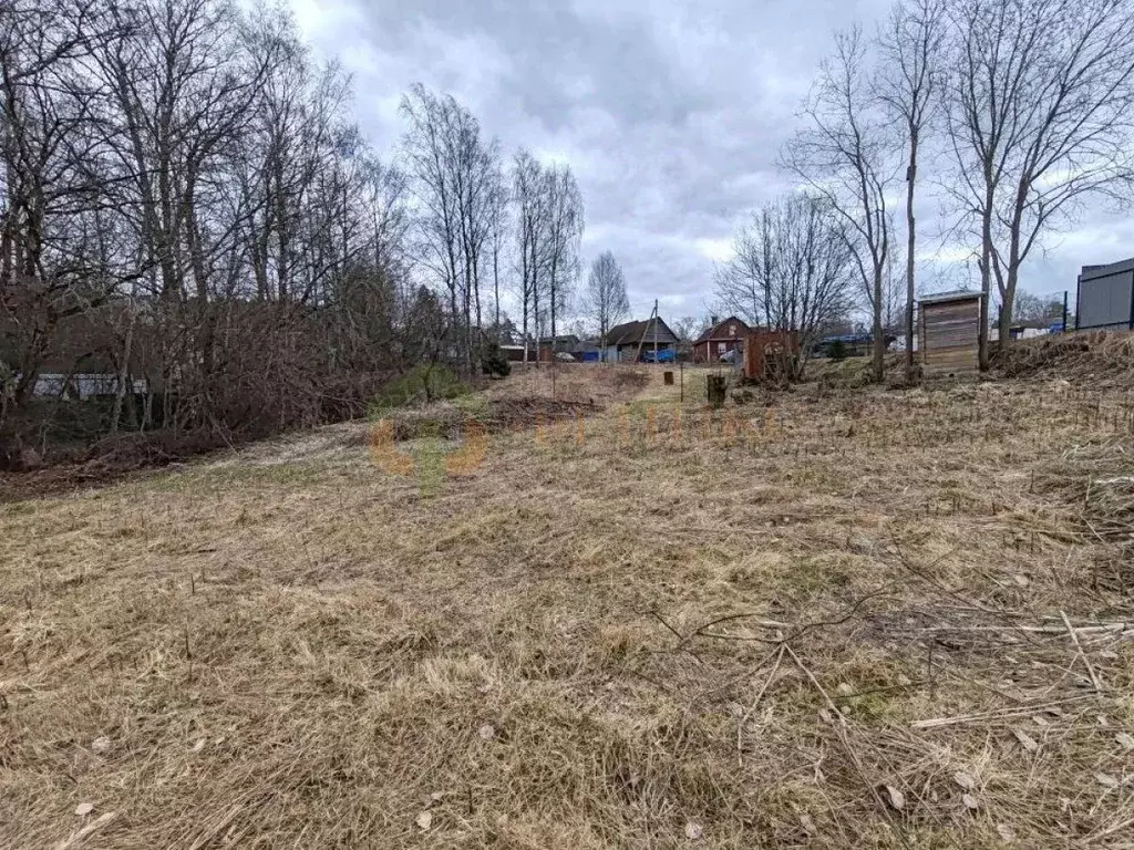Участок в Ленинградская область, Приозерский район, пос. Мичуринское ... - Фото 2