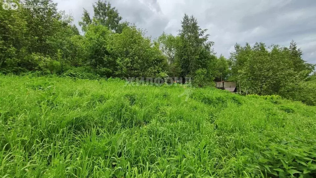 Участок в посёлок городского типа Шерегеш, СНТ Шерегешевец, 3-я Дачная ... - Фото 0