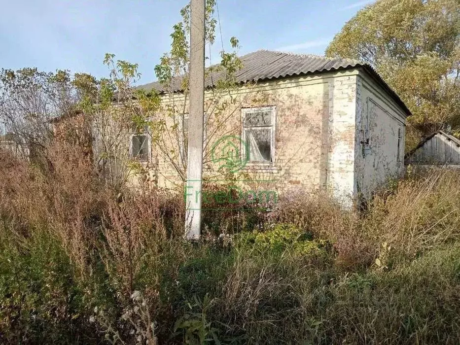 Дом в Белгородская область, Алексеевский муниципальный округ, с. ... - Фото 2