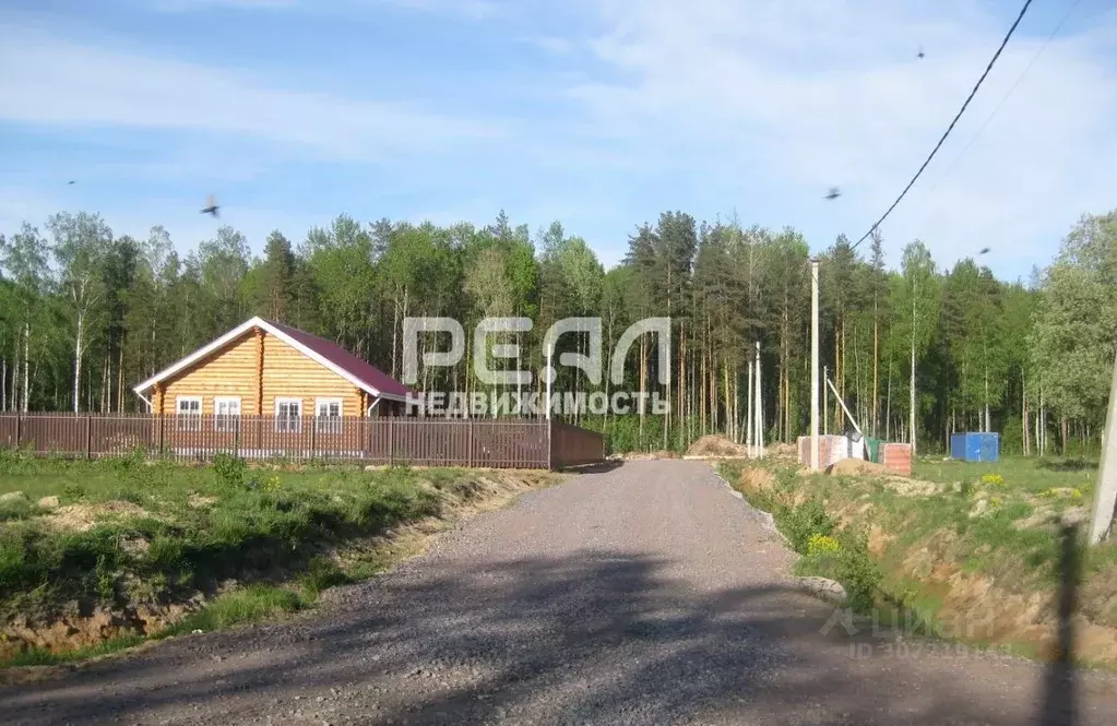 Участок в Ленинградская область, Всеволожский район, Дубровское ... - Фото 1