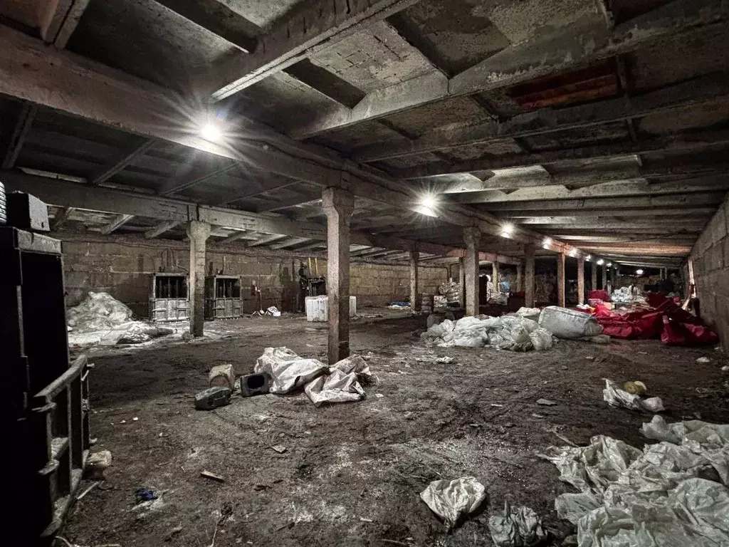 Производственное помещение в Московская область, Домодедово городской ... - Фото 1