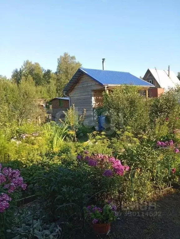 Дом в Тюменская область, Тюмень СОСН Радуга тер., ул. Лютиковая (67 м) - Фото 0