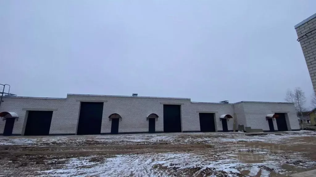 Производственное помещение в Новгородская область, Новгородский район, ... - Фото 1
