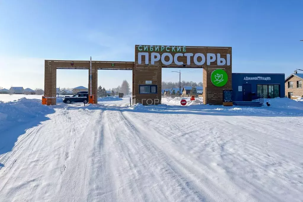 Участок в Новосибирская область, Новосибирский район, Сибирские ... - Фото 1