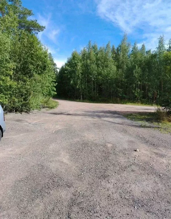 Участок в Ленинградская область, Высоцк Выборгский район, Пригородная ... - Фото 2